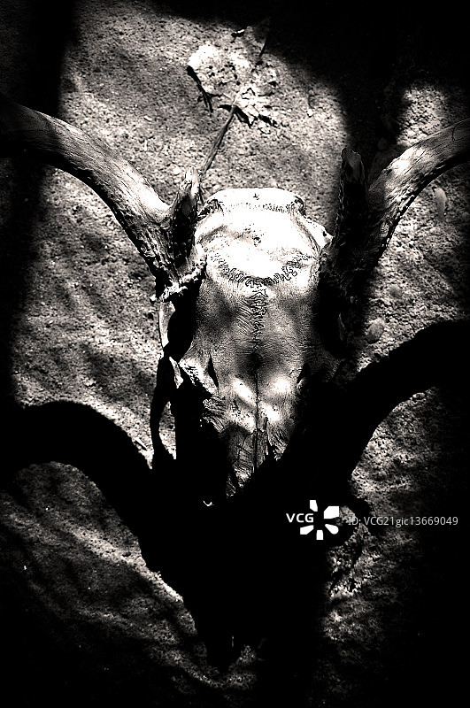 蠕虫已满图片素材