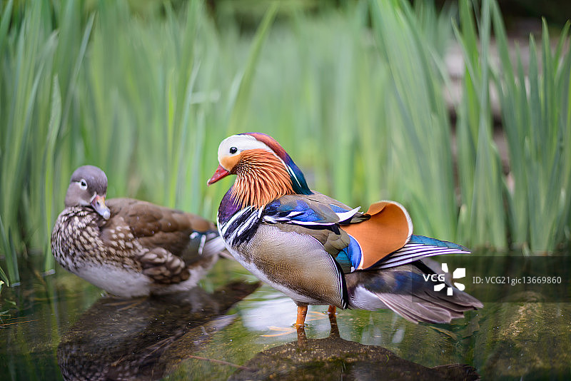 波兰希鲁德米埃希切图片素材