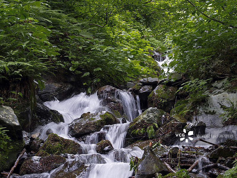 日野川清澈的溪流图片素材