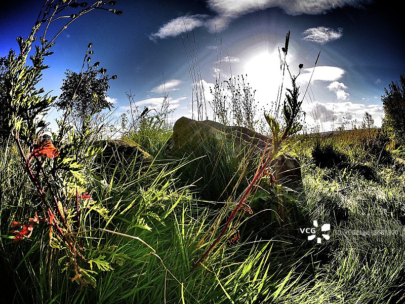 棍棒和石头图片素材