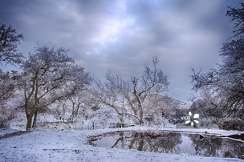 黎明时分的饮水处图片素材