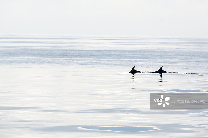 海洋一隅图片素材