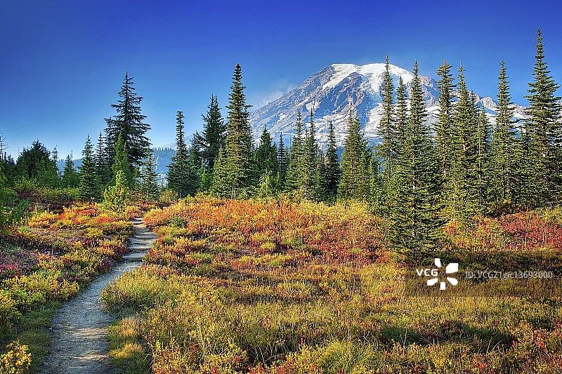 秋天的瑞尼尔山图片素材