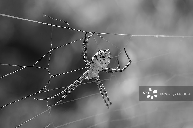 二元性图片素材