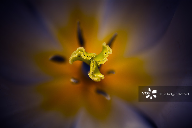 内在美图片素材