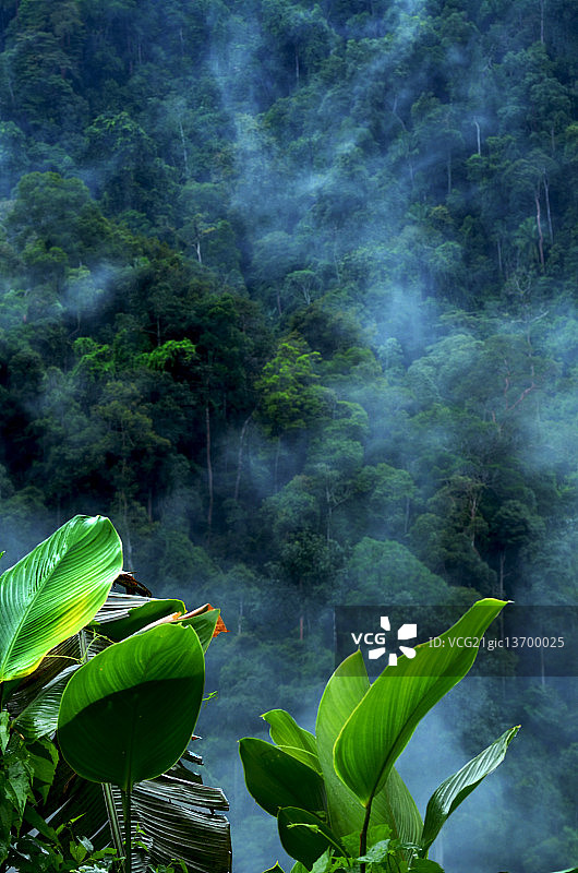 此处和彼处图片素材