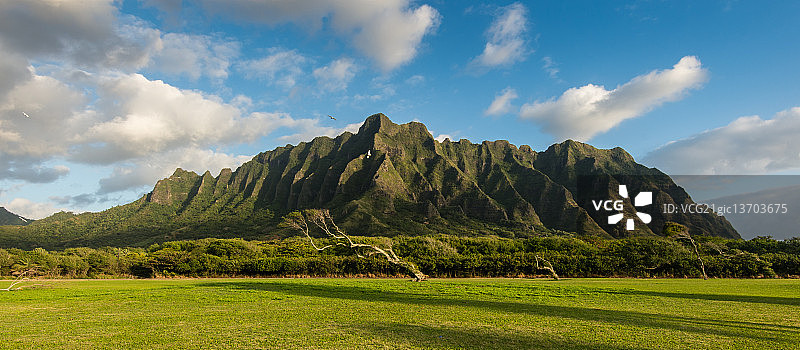 瓦胡岛山脊线图片素材