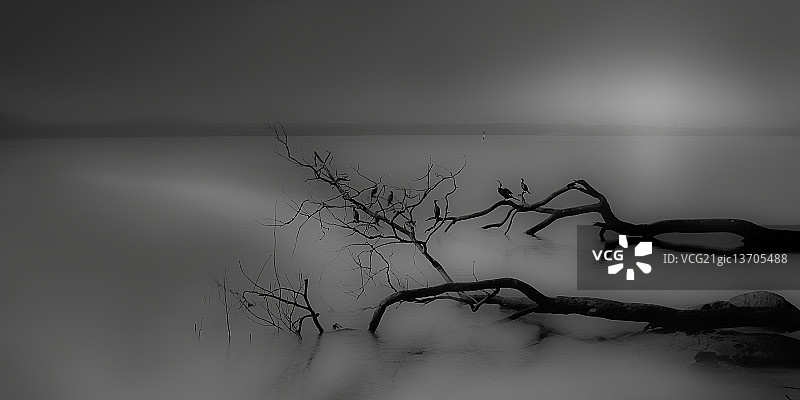 静谧湖泊II图片素材