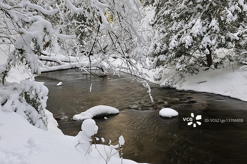 安大略省米德赫斯特的柳溪，12月图片素材