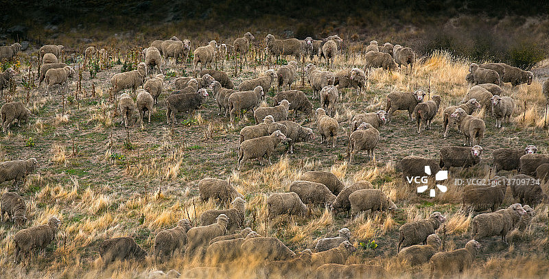 我们是一家人图片素材