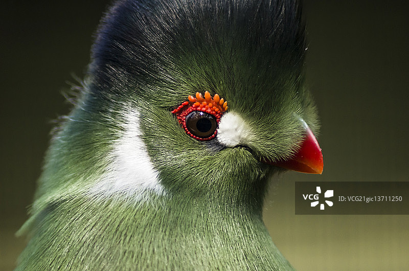 Andre Heß摄影作品图片素材