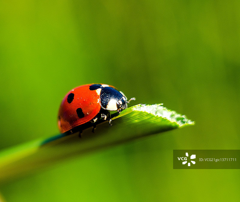 克里维里赫，乌克兰图片素材