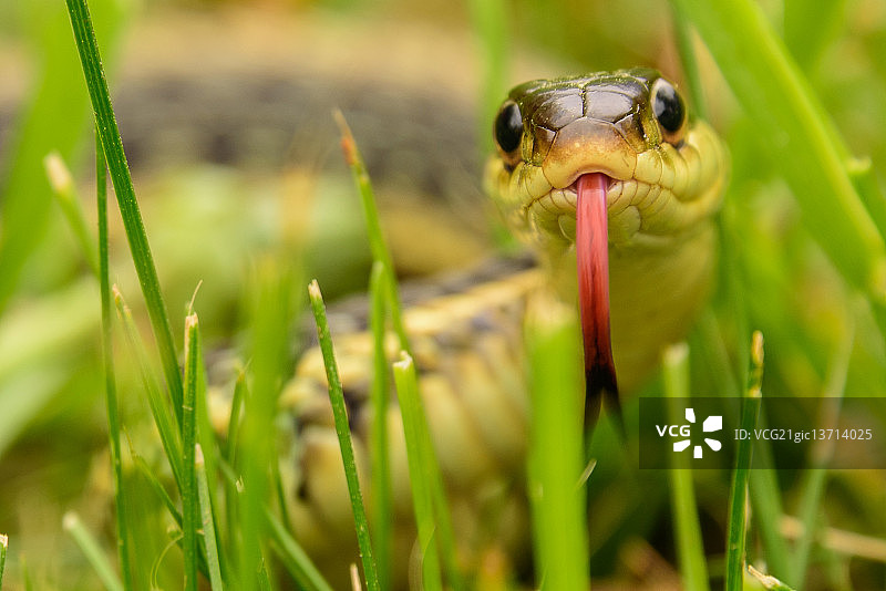 TJL_1584-2.jpg图片素材