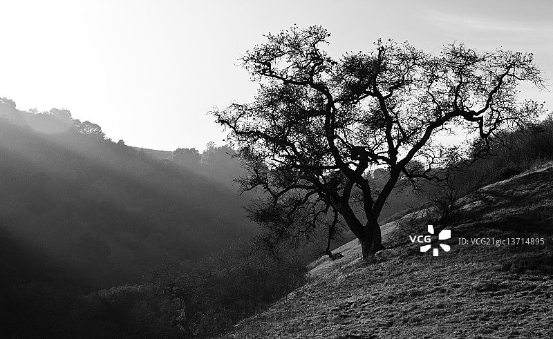 加维兰山图片素材