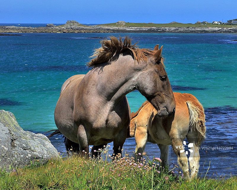 母子...图片素材