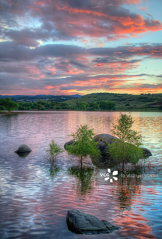 三棵树图片素材