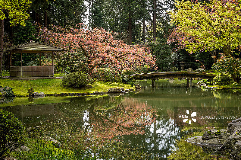 日式花园图片素材