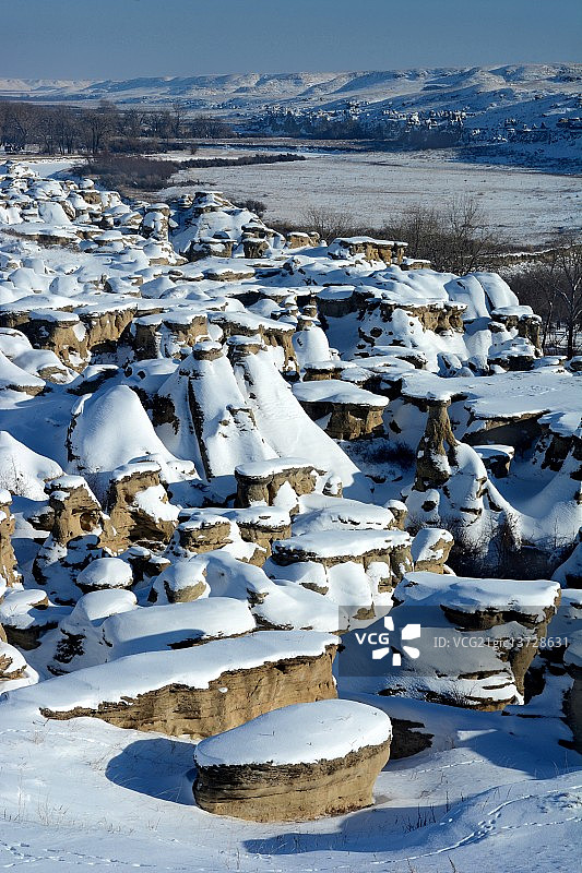 牛奶河谷石林图片素材