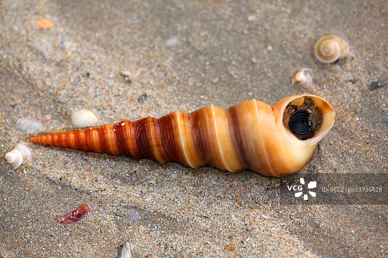 海浪冲刷的海岸图片素材