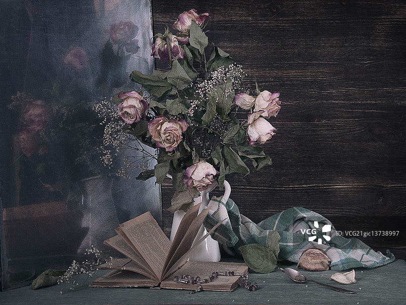 Tatiana Ivanova拍摄作品图片素材