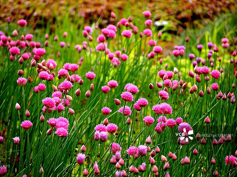 充裕的生活图片素材