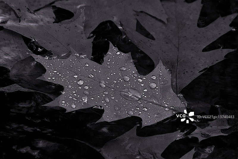 水滴之旅图片素材