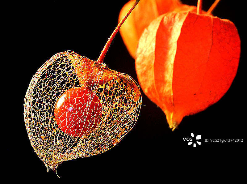 日式灯笼图片素材