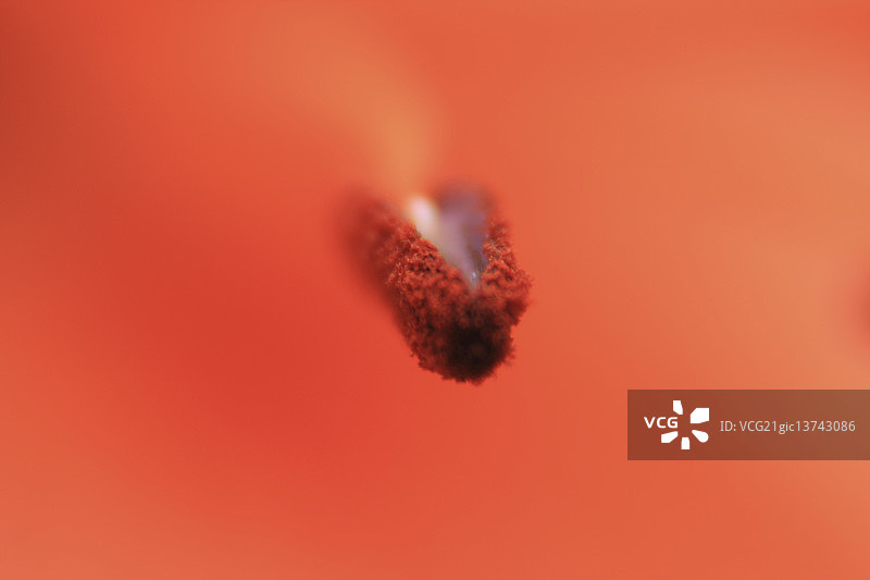 摄影师：Valeriy Kliuk图片素材