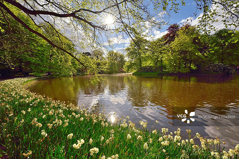 库肯霍夫花园花田 III图片素材