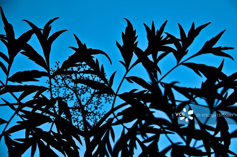 他的轮廓图片素材