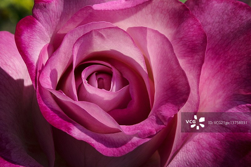 传播爱图片素材