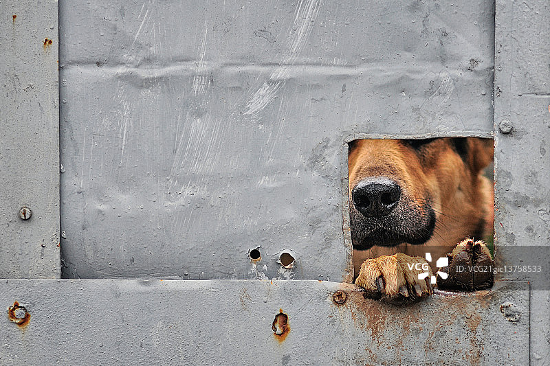 本吉的窗户 II图片素材