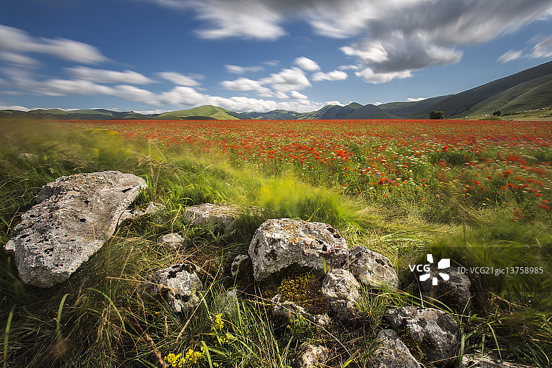卡斯特卢乔图片素材