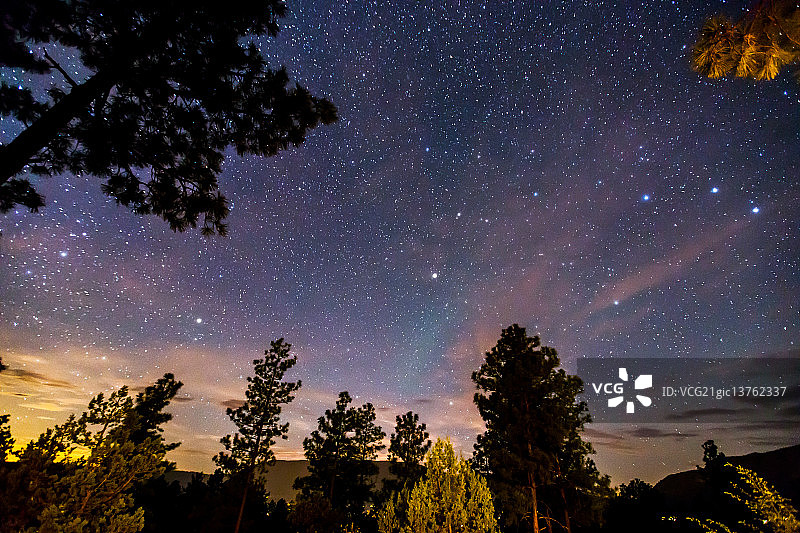 松树上的土星图片素材