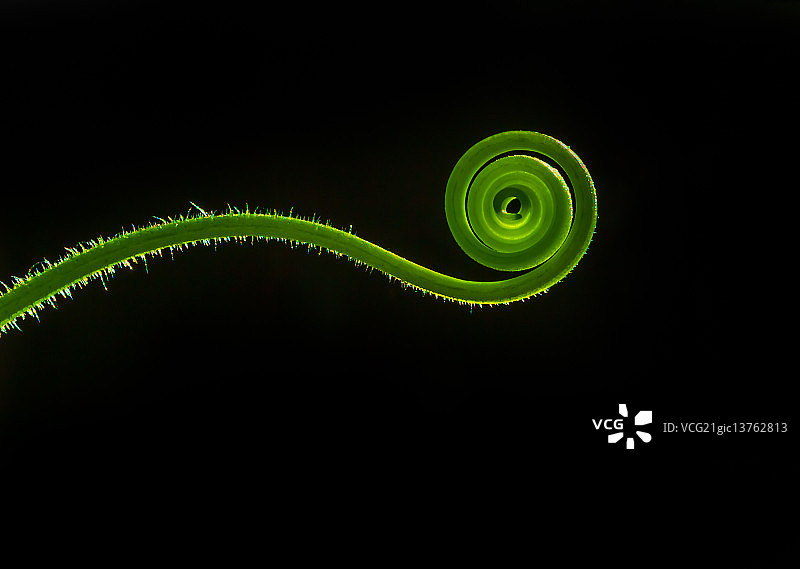 螺旋图片素材