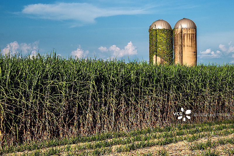 日落粮仓图片素材