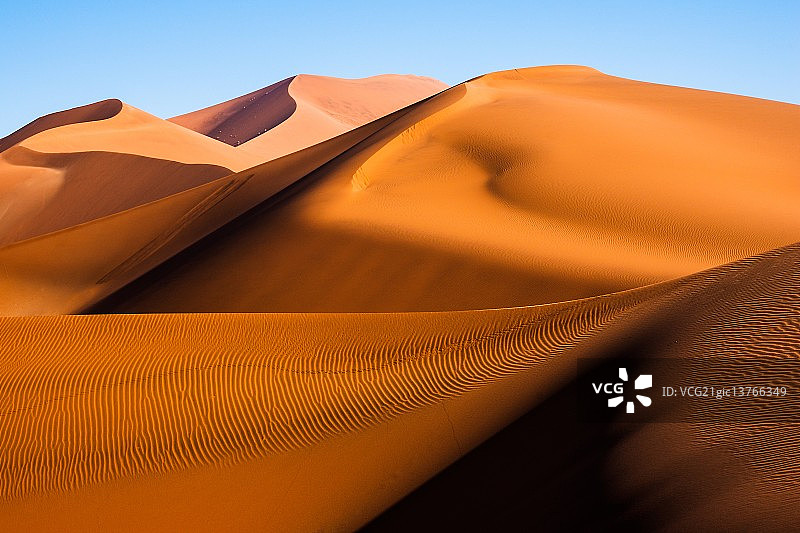 响尾蛇图片素材