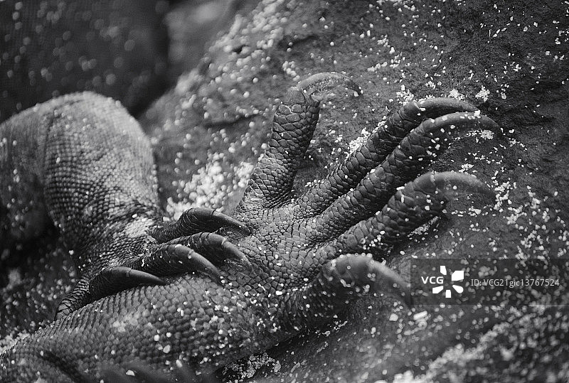 这次我不会让你离开图片素材