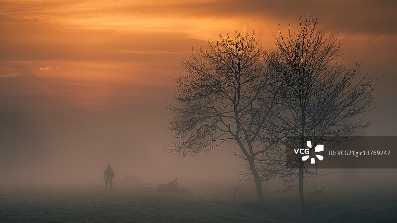 哈特菲尔德森林雾气图片素材