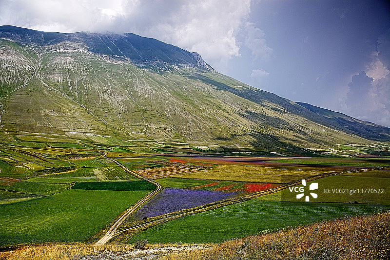 卡斯特卢乔的切割图片素材