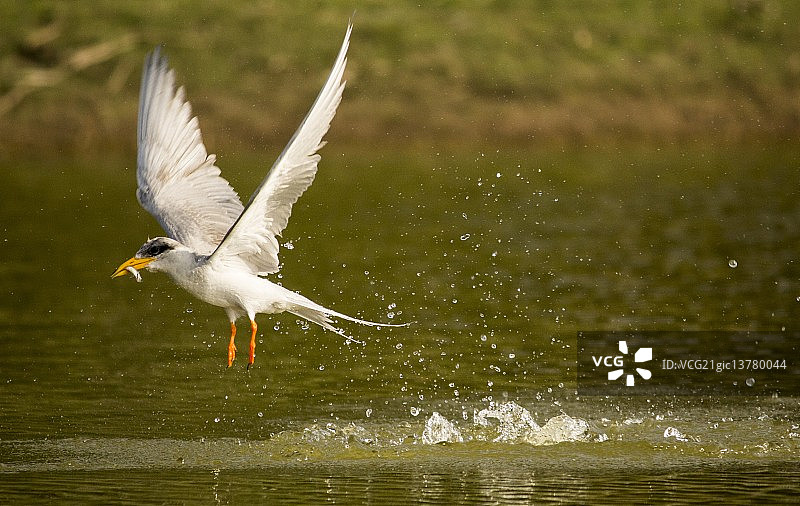特恩河图片素材