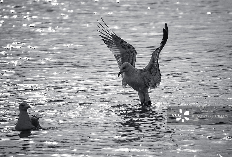 准备着陆图片素材