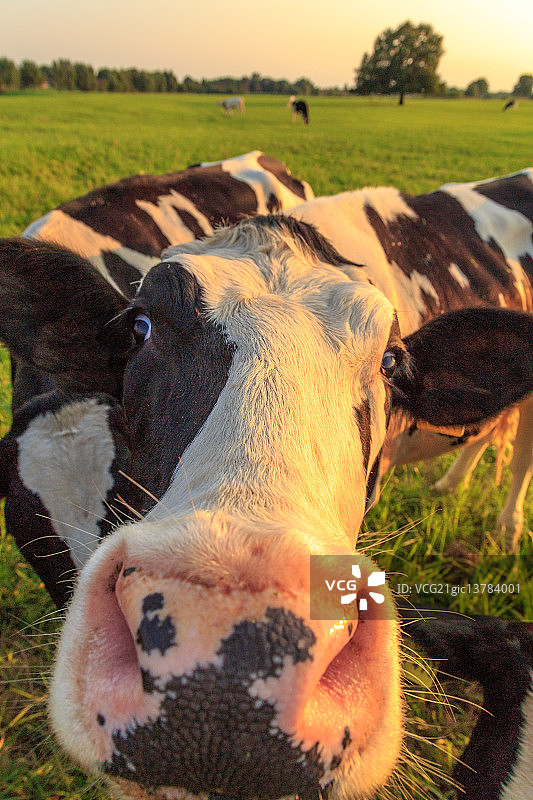 佳能EF 24-105mm 1:4.0 L IS USM镜头图片素材