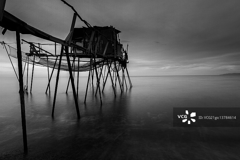 黑色达利安图片素材