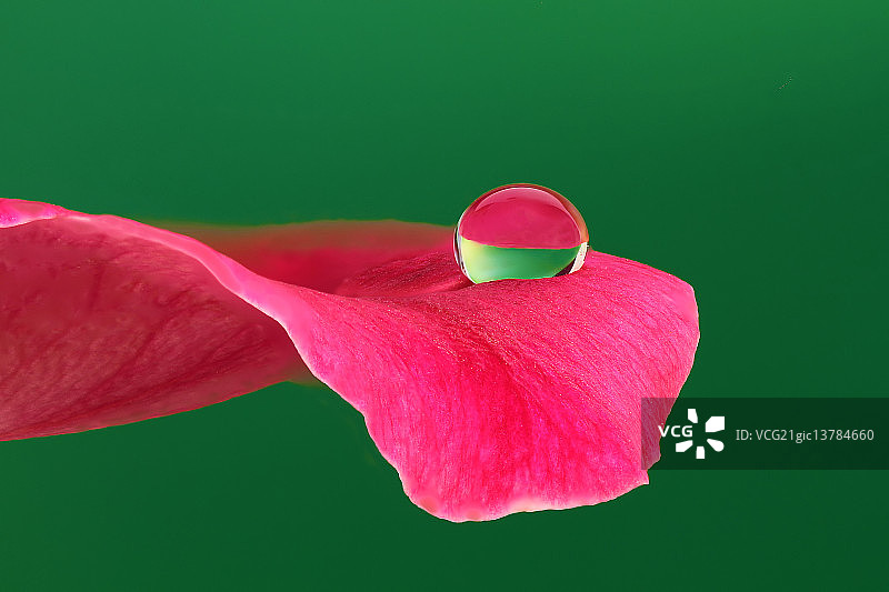 焦点堆叠图片素材