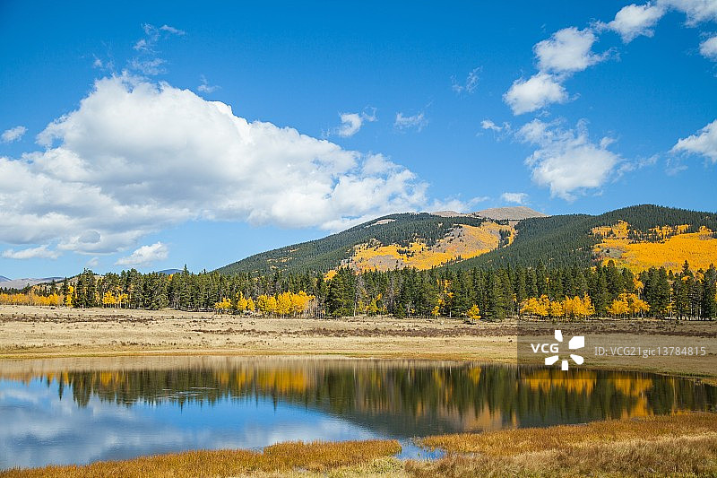 基诺沙图片素材