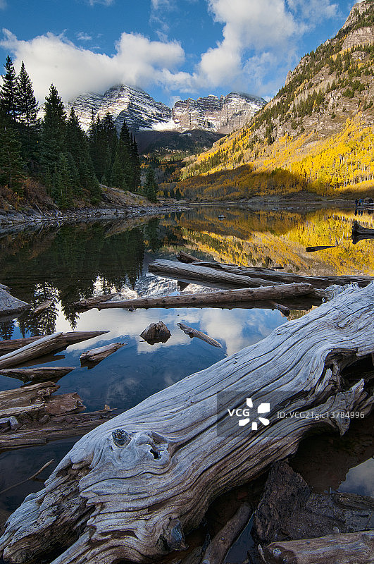 栗色铃铛花图片素材