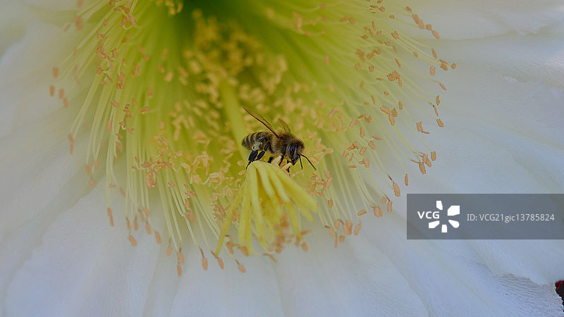 打嗝！图片素材