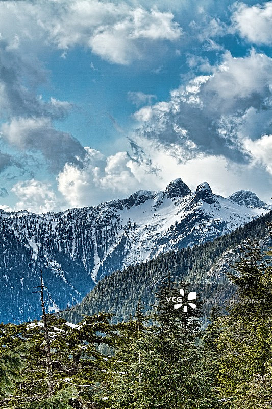加拿大不列颠哥伦比亚省温哥华市的松鸡山图片素材