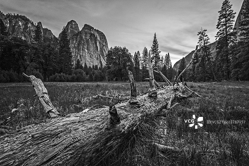 埃尔卡皮坦草甸的暮光（黑白）图片素材